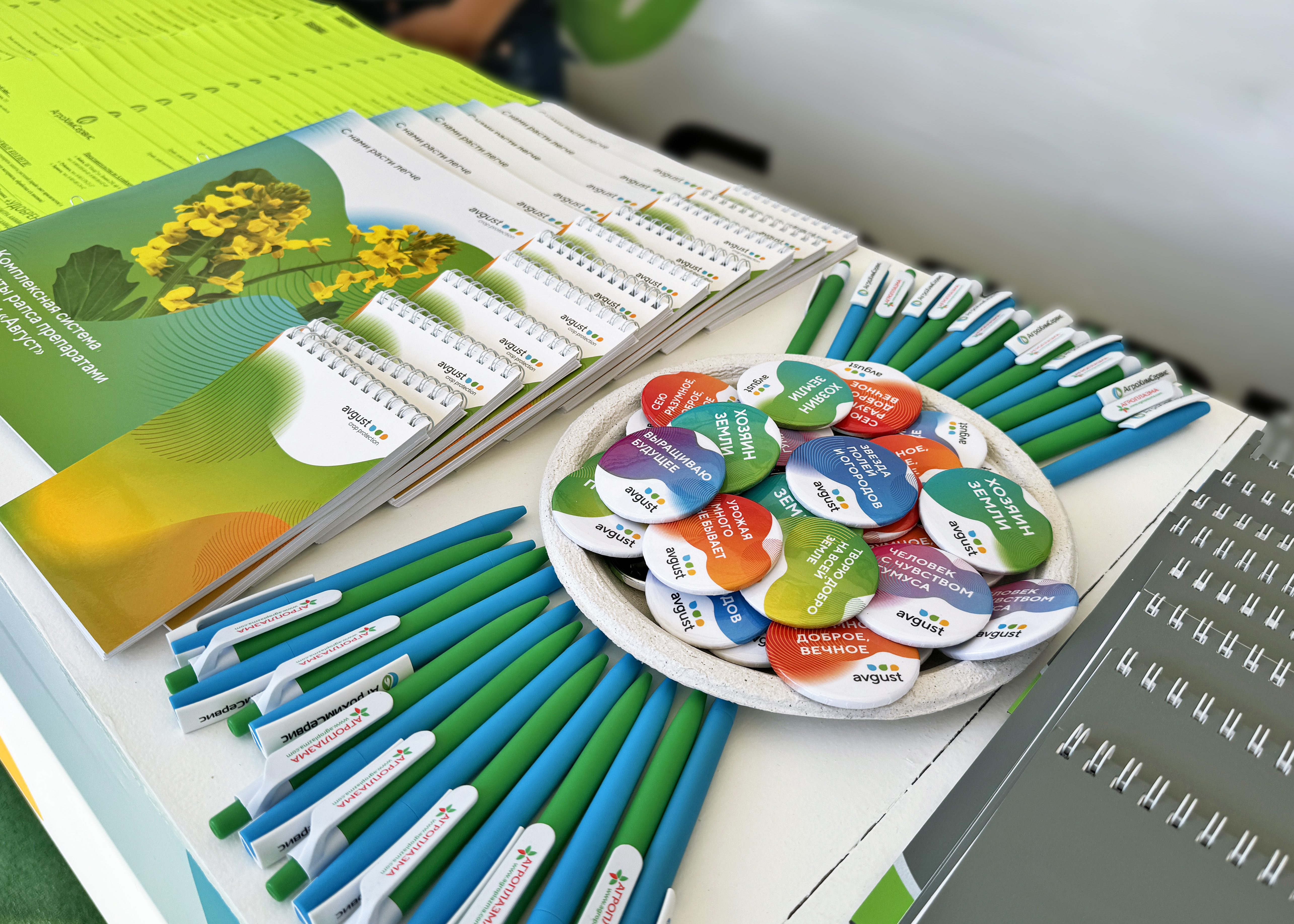 День Сибирского поля 2024