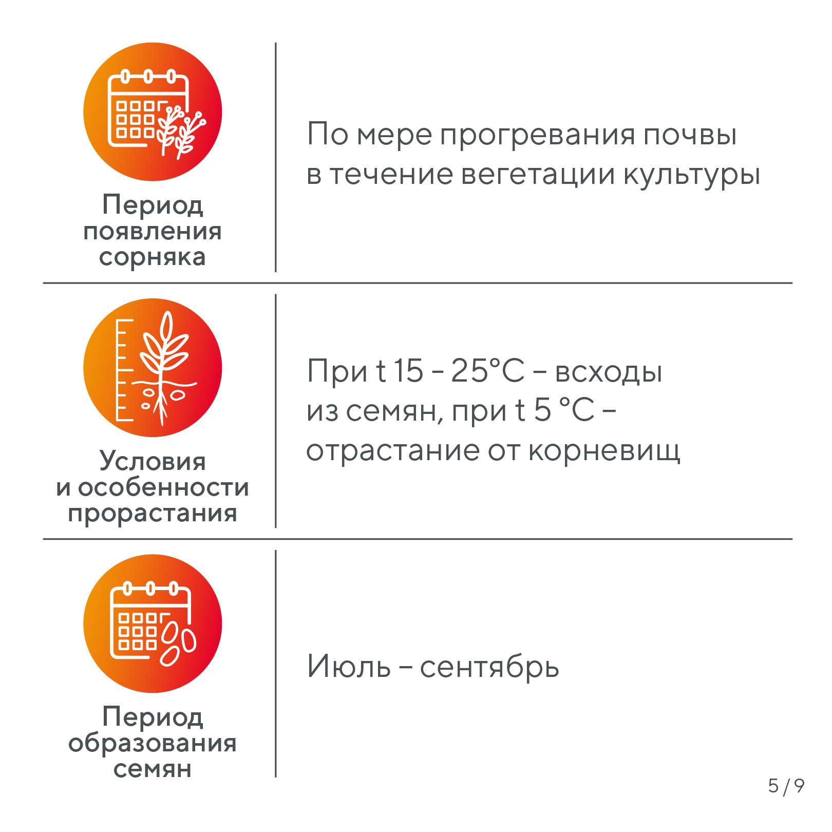 Пост 25.06.2026