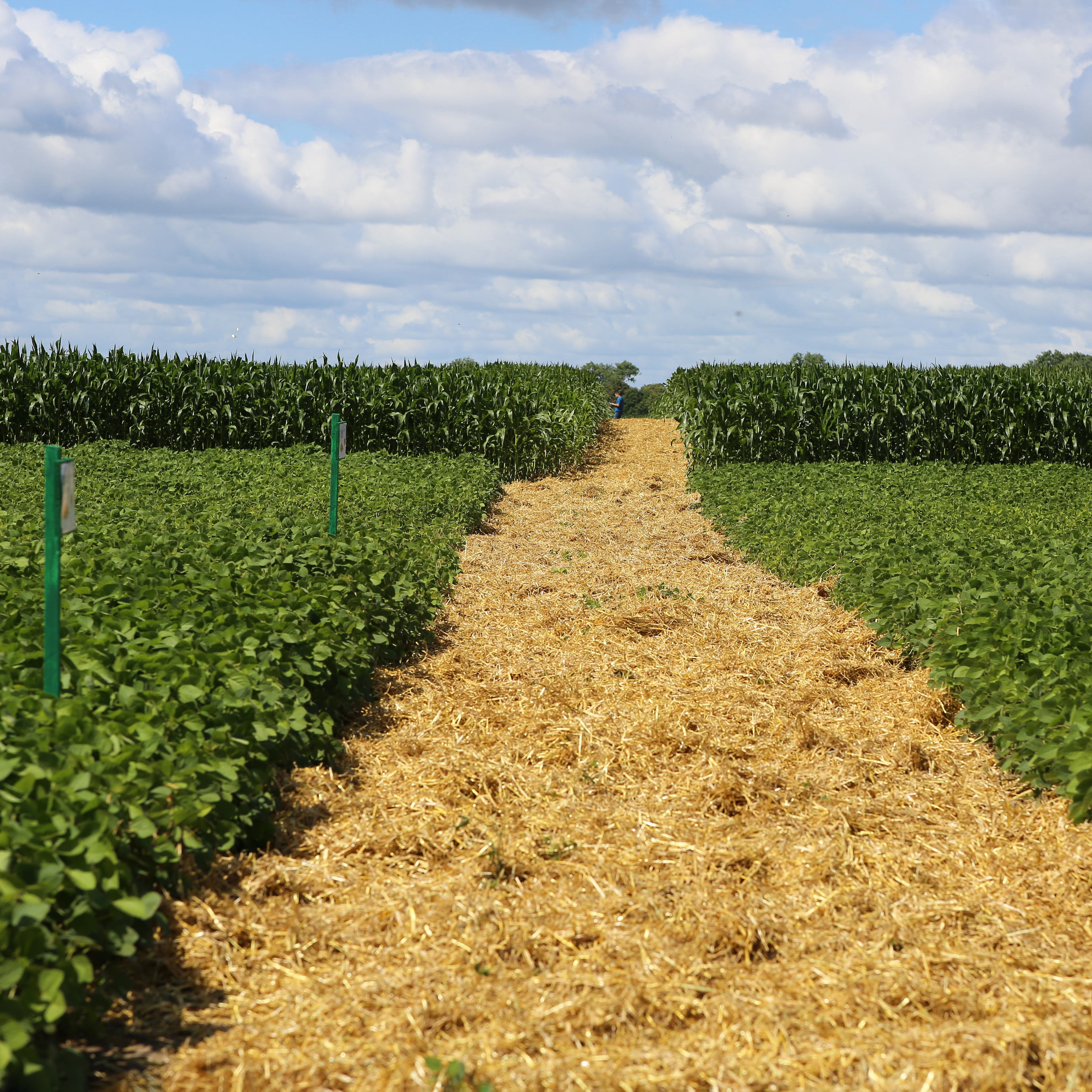 Агрохолдинг «ДолговГрупп» 20.01