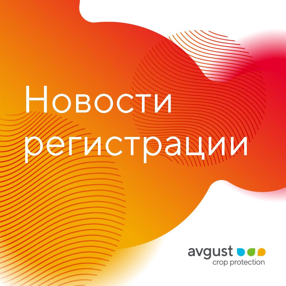 Блог компании Avgust