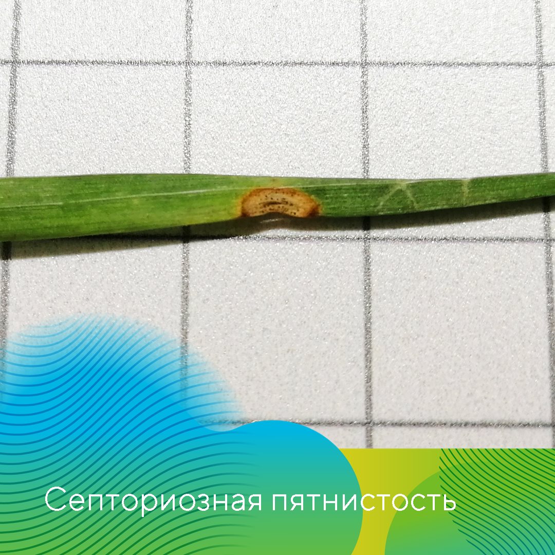  «АгроЛаборатория-Ливны» октябрь 2023