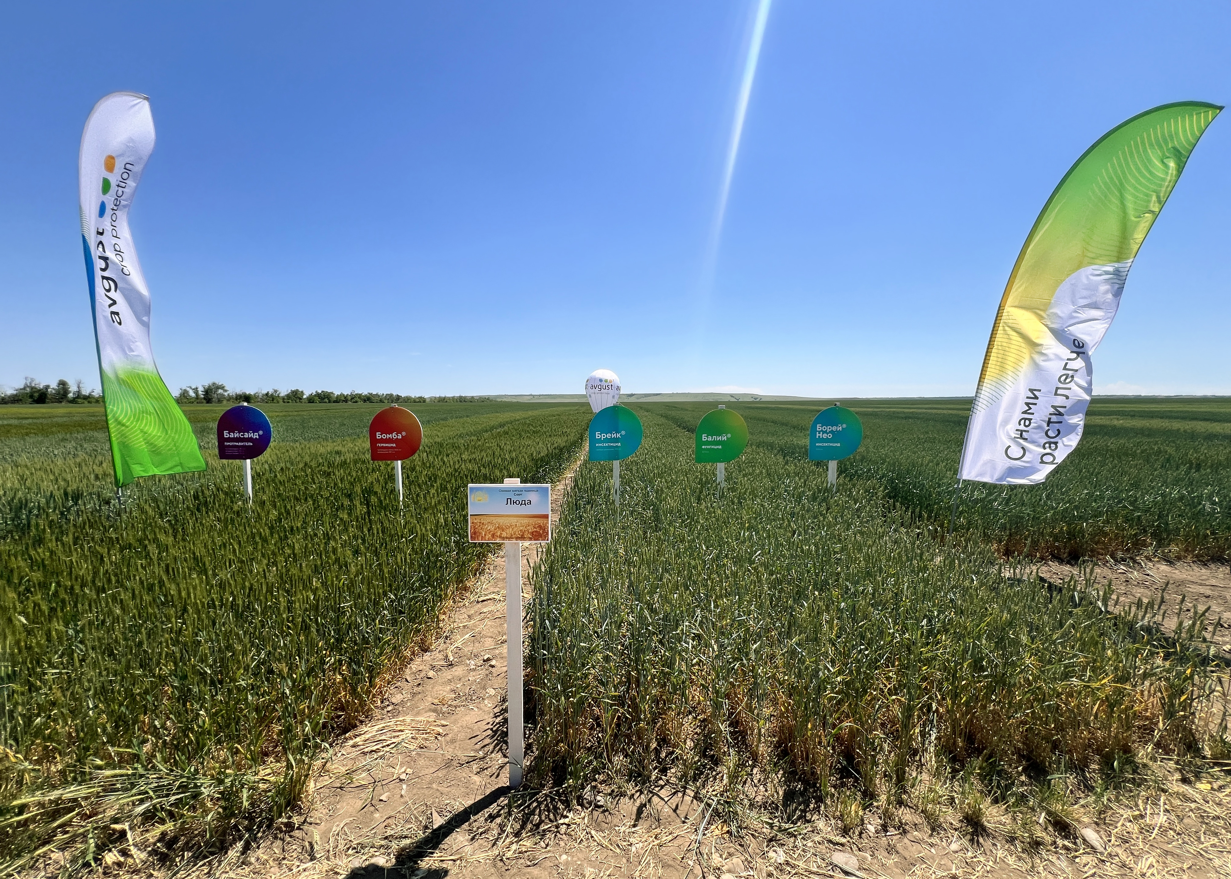 Доппост 28.05