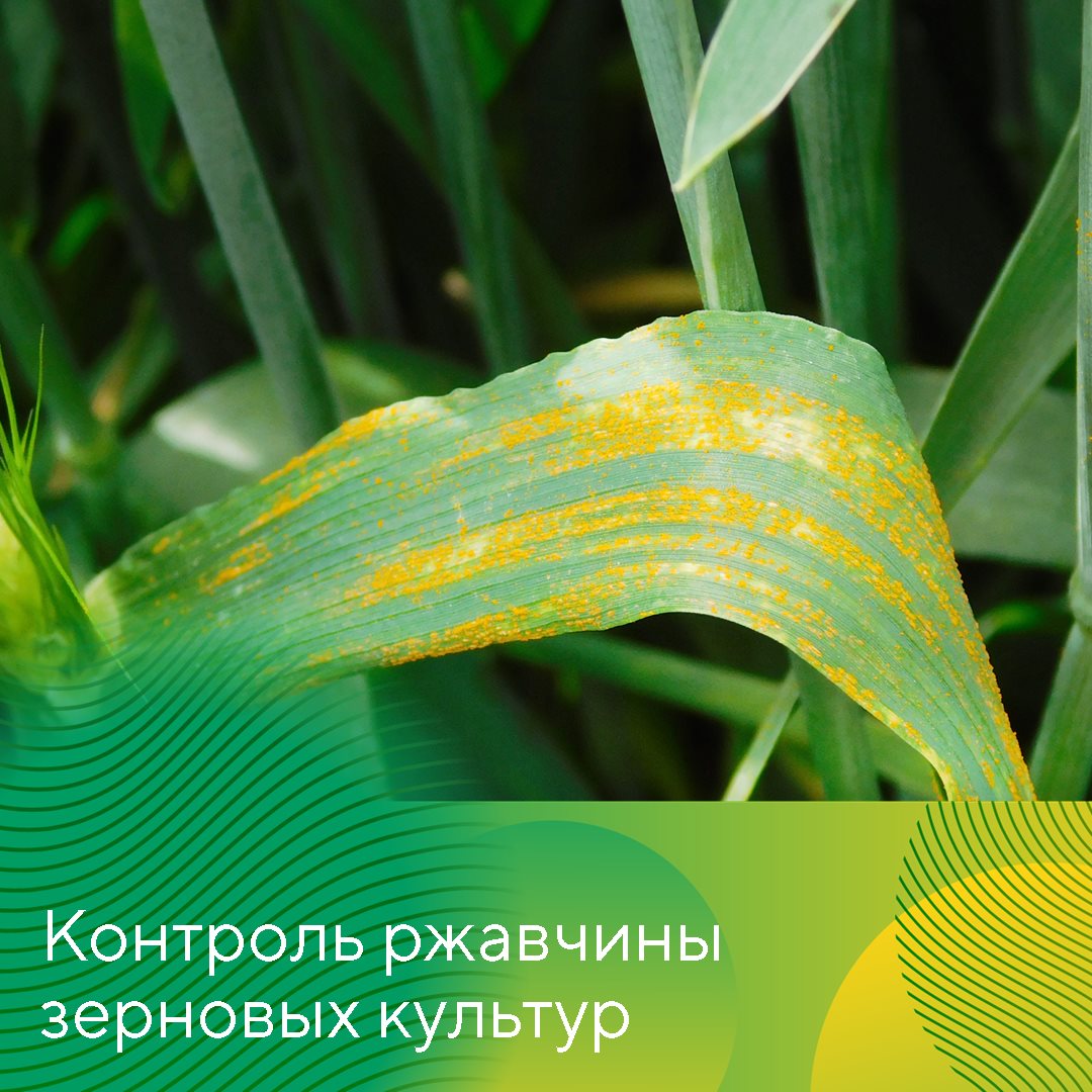 Пост 02.05.2025