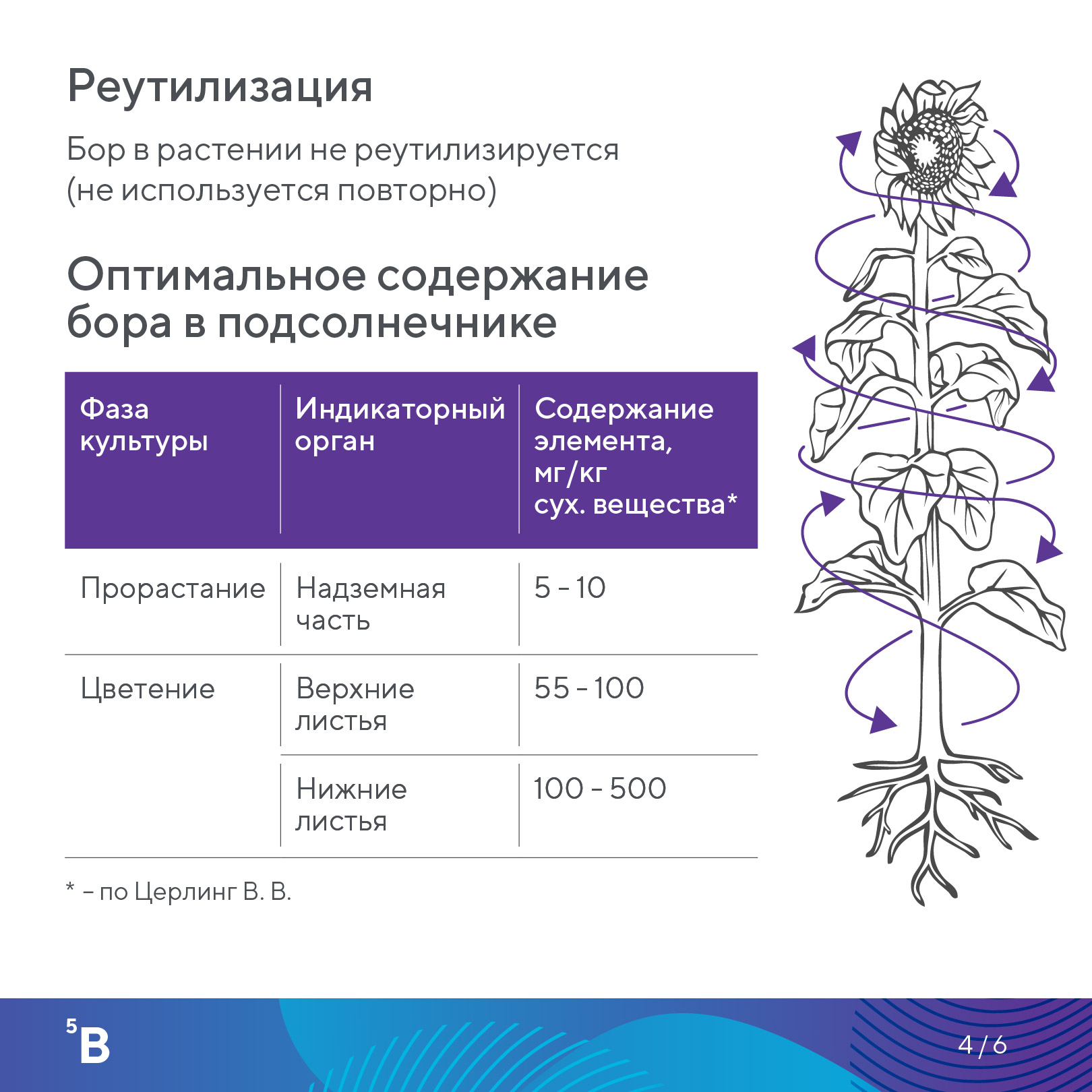 Пост 21.08.2026