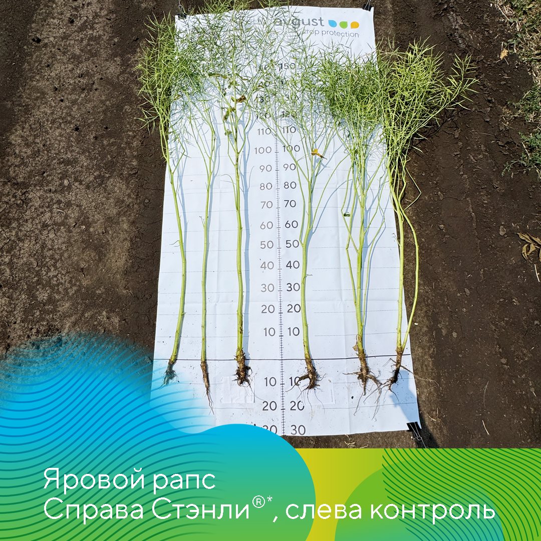 Пост 29.09.2026