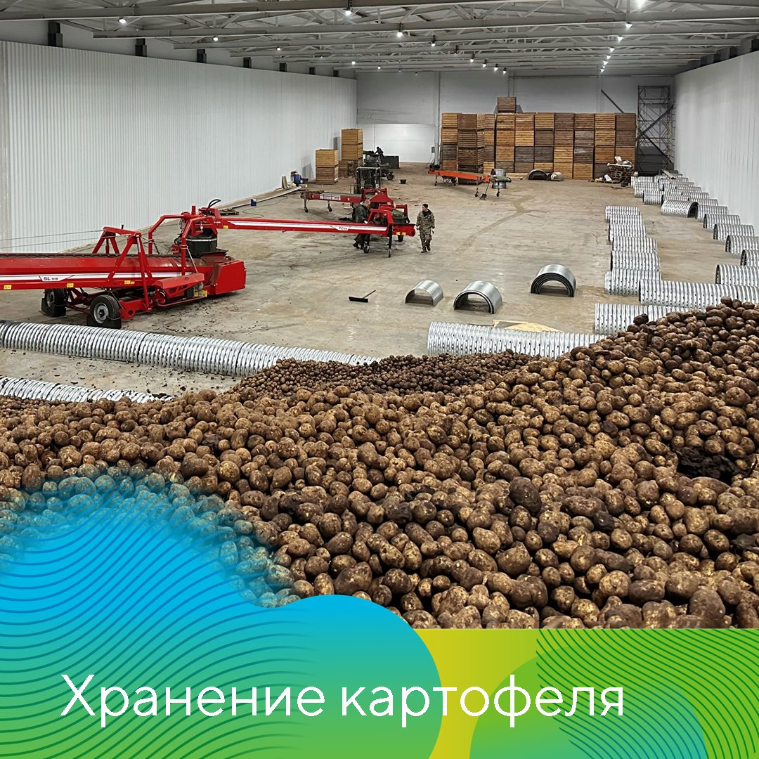 Пост 26.08.2025