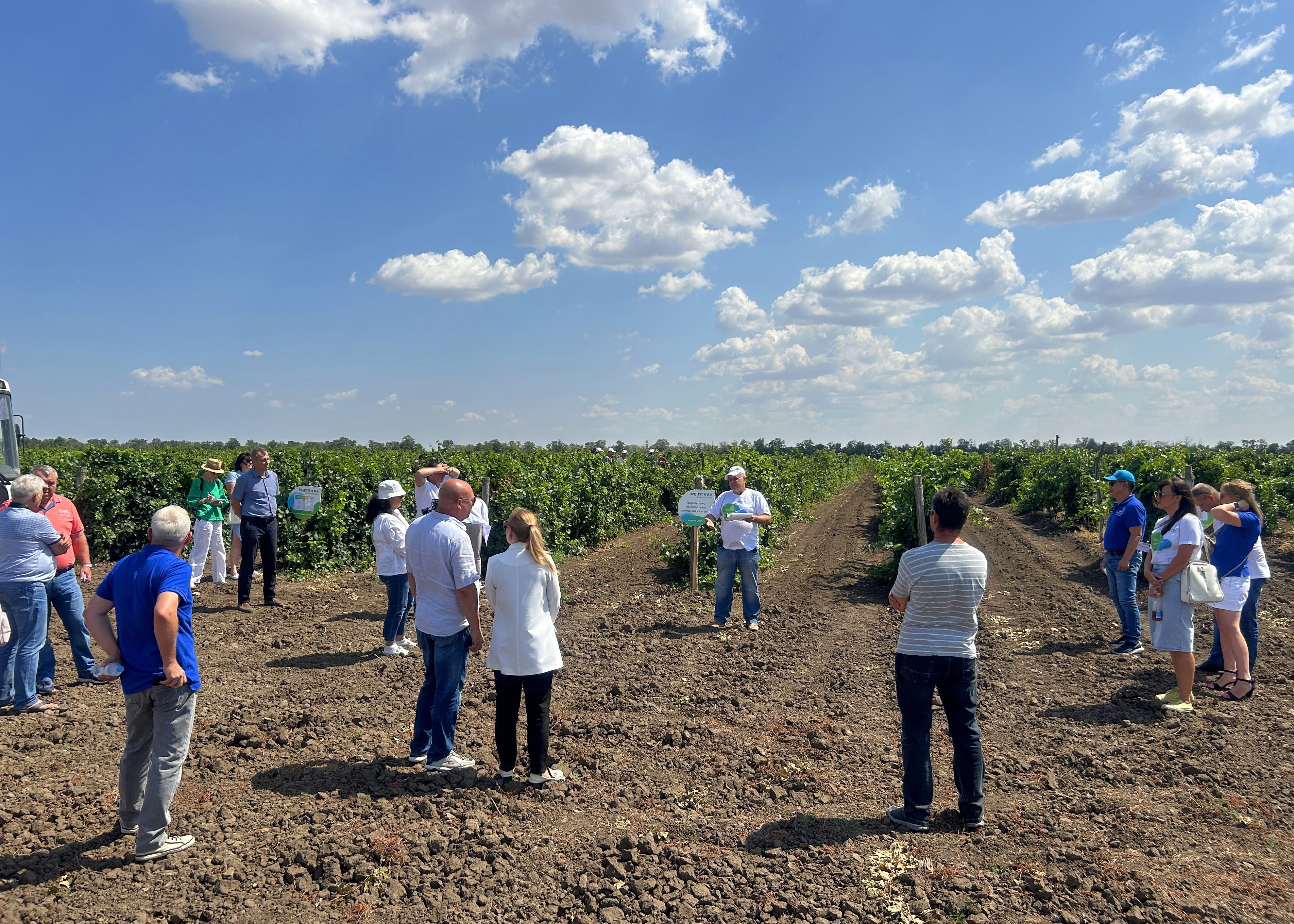 Пост 13.08.24 доп