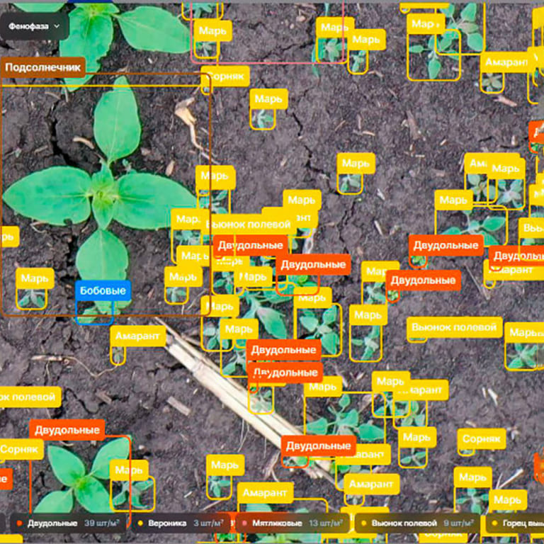 «АссистАгро» – цифровая платформа от российской компании «Геомир»